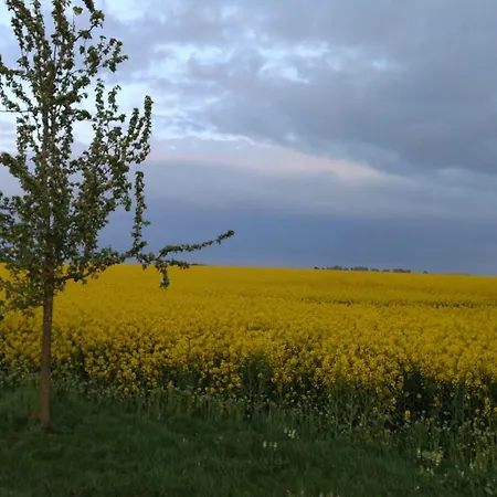 Ostseesonne Apartment *