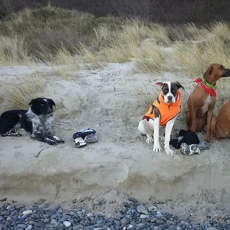 Ostseesonne Apartment